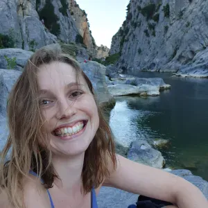 Bien-être et sécurité de vos animaux