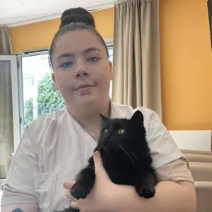 Garde d'animaux avec amour et attention en île de france 