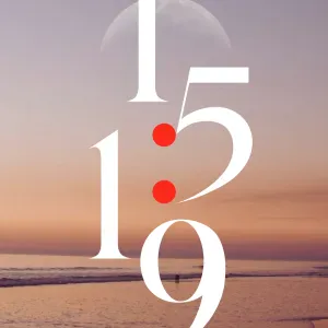 FEMME DE MENAGE RESPONSABLE DROME