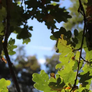 Babysitterin mit sehr viel Erfahrung 