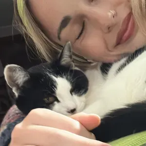 Cat sitting a Padova zona centro e dintorni
