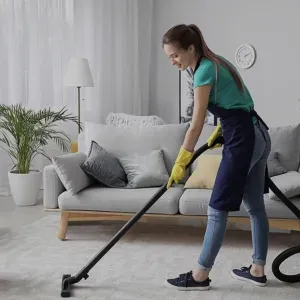 Femme de ménage,aide à domicile 