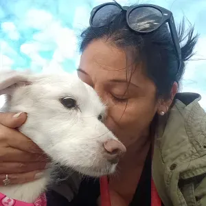 Pensione per cani in famiglia,25 anni di esperienza