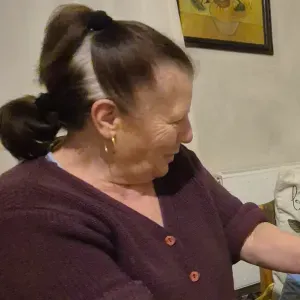 Femme de menage experimentée  se deplaçant val de marne 