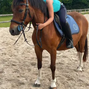 Aide ménagère à domiciles Bordeaux 