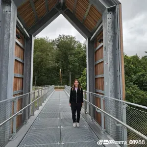 Garde des chats à domicile (Luxembourg/Kirchberg)