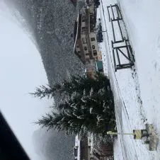 Cerco lavoro nel settore delle pulizie