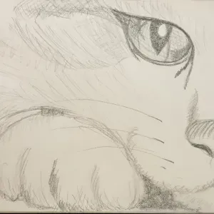 Ne vous inquiétez plus ; je suis là à Fontainebleau!