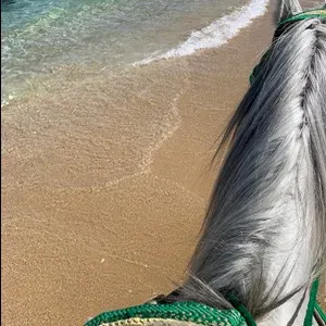 Job étudiant garde d'enfant Lyon