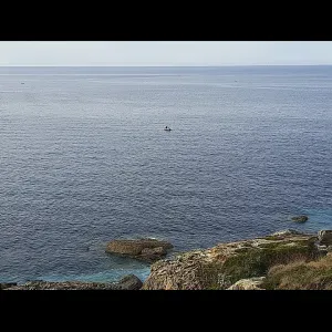 Gardes d'animaux et balades