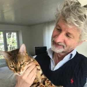 Cat sitting in Kilchberg and surroundings