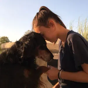 Pet-Sitter dans l'aube et la marne 