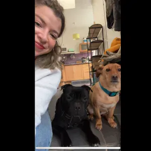 Services ménage/jardinage/courses 