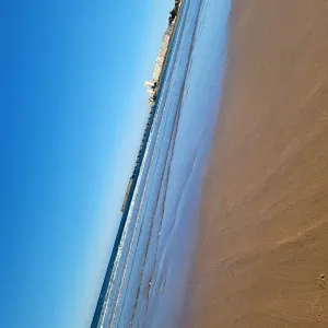 Homme de services à Orléans - Eligible SAP