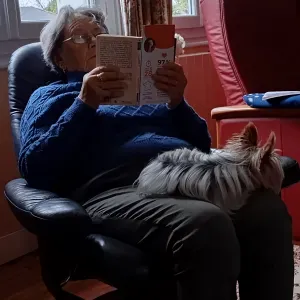 Assistante de Vie aux Familles