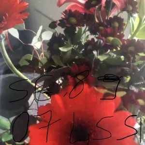 Femme de ménage à domicile sur cambrai 