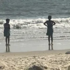 Aide aux devoirs pour élèves en 3 ème , à domicile