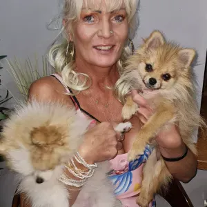 Zaopiekuje się zwierzętami