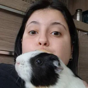 À la recherche d'un job de pet walker/sitter