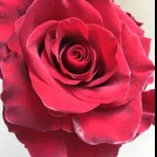 nounou à domicile depuis 7 ans