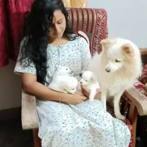  A Dog Lover at Heart – Caring for Your Pet with Love!