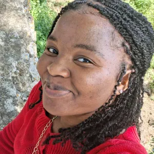 Empregada de limpeza Santarém 