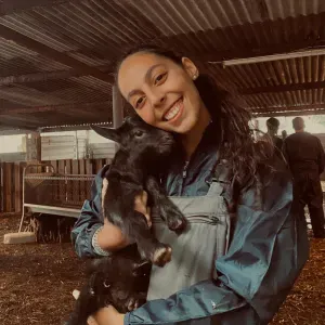 Pet sitting em Benavente, Santo Estevão e arredores