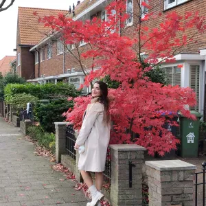 Apaixonada por todos os animais 