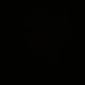 Femme de ménage responsable dans le 77 