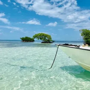 Aide à Domicile et/ou garde de nuit. 