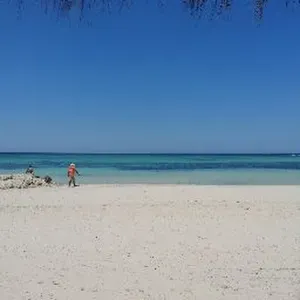 Baby-sitter nouvelle et motivée à Reims