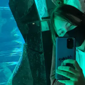 Garde et/ou promenade d'animaux