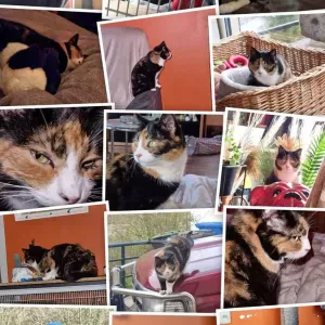 Reinigungskraft gesucht