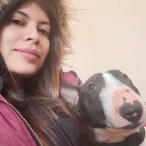 Pet sitting Covilhã- Cantar Galo