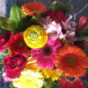 Addetta alle pulizie di case a Treviglio 