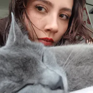 Pet sitting a Bologna/ Gatti e canni/ orari flessibili