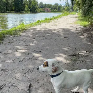 Pet-sitter à Moulle !! À votre service 