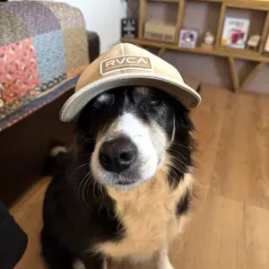 Recherche aide ménagère.