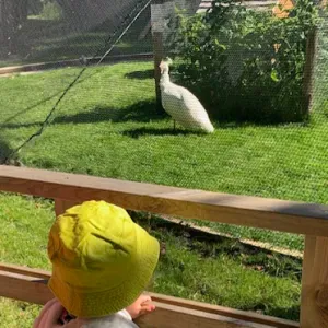 assistante maternelle agréée à neuilly sur marne