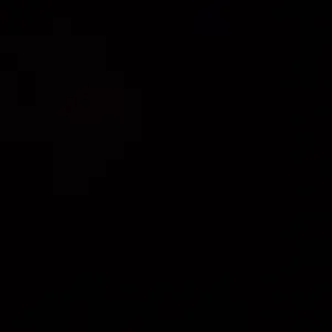 Pet sitting affidabile e con esperienza multianimale