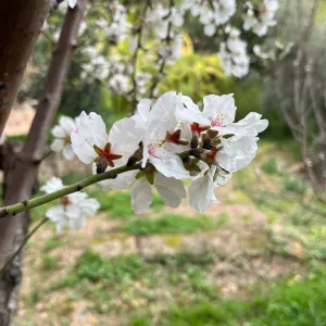 Busco persona para limpieza
