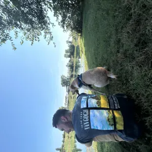 Pet sitting Desio e zone limitrofe 