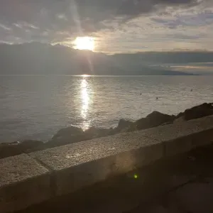 Femme de ménage expérimentée à domicile Vevey