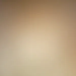Je recherche une femme de menage