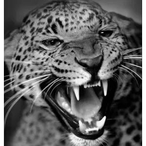 Baby-sitter 51470 saint memmie