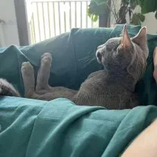 Entretien régulier de l'appartement