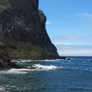 Oferta de emprego para uma babysitter em Funchal