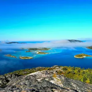Posizione per Petsitter a San Michele all'Adige