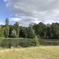 ménage et repassage