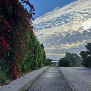 Baby-sitter Au alentour de Gareoult-Hyères 